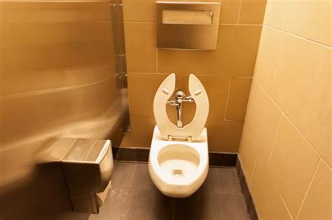 Here's how: Secure the brush handle between the already-cleaned seat and the basin to hover over the bowl; pour bleach over the bristles. . Cleanest restrooms near me